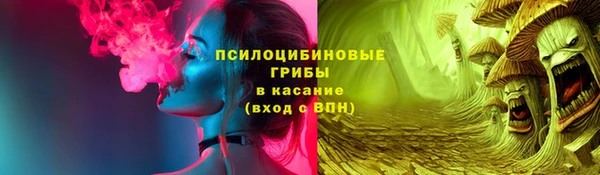 бутират Белокуриха