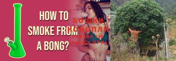 бутират Белокуриха